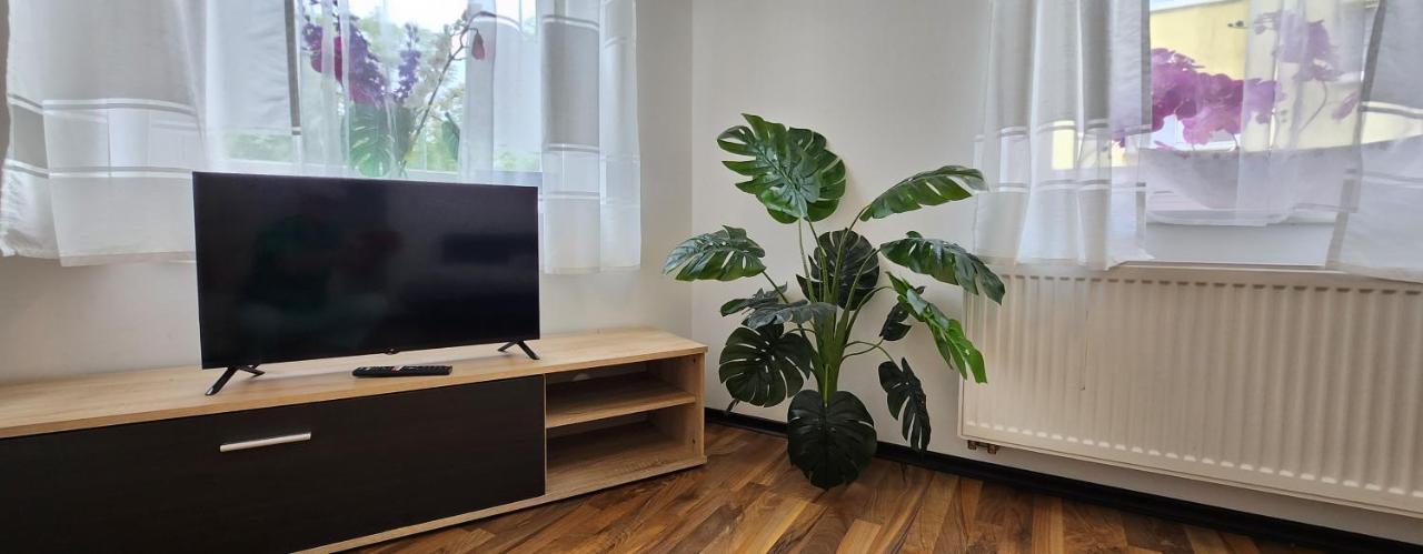 Elena Flat Orchidee Duisburg Zentrum Exterior photo