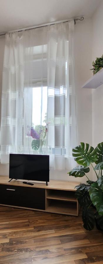 Elena Flat Orchidee Duisburg Zentrum Exterior photo